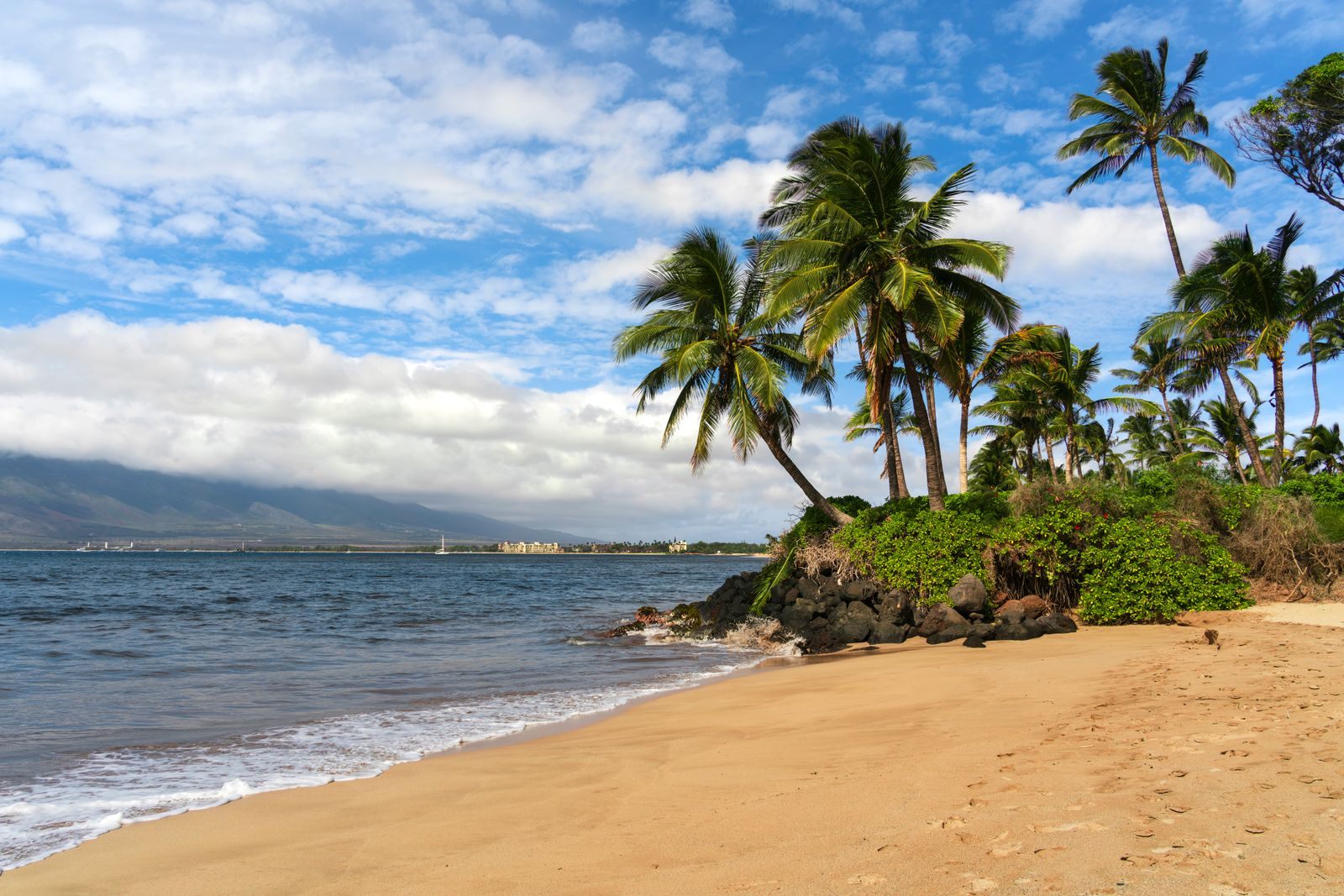 Palm-lined beach in Kihei on the island of Maui, Hawaii