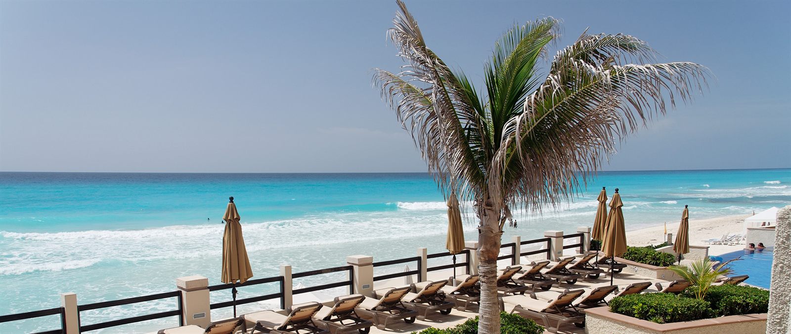 Palm tree and beach loungers at a Caribbean resort